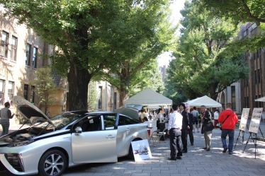 Ginkgo Promenade