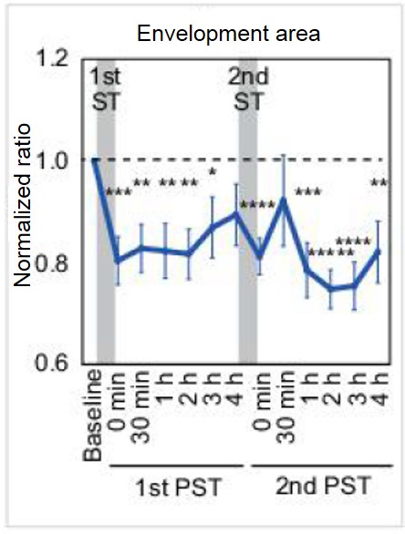 Effect of nGVS in improving body balance © 2017 Chisato Fujimoto.Subjects who received two 30-minute nGVS with a 4-hour interval in between showed improvement in their sense of body balance. The positive effect of the stimulation can be seen by the balance parameter following stimulation, represented by the blue line, falling below the value before the electric current was applied, represented by the dotted line.