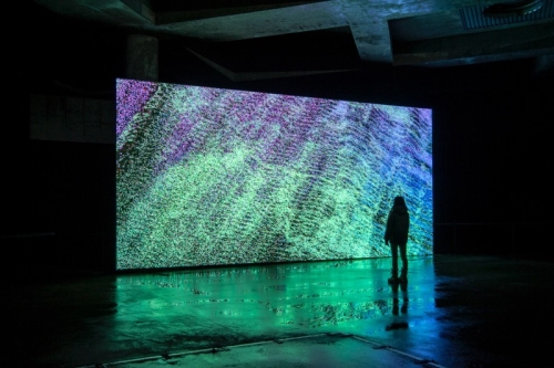 Hirakawa’s audiovisual installation at the Sapporo International Art Festival 2017 (Photo provided by Norimichi Hirakawa)