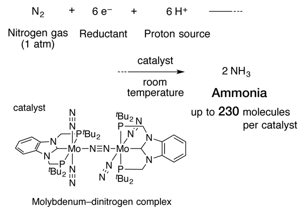 Ammonia synthesis catalyzed by new molybdenum complex © 2017 Yoshiaki Nishibayashi.With a novel molybdenum-dinitrogen complex as the catalyst, a chemical reaction between nitrogen gas at normal atmospheric pressure, and a reductant and proton source generated as many as 230 molecules of ammonia per molecule of catalyst, at room temperature.