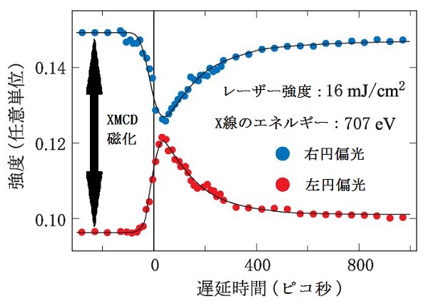 © 2017 和達 大樹横軸の単位はピコ秒：1兆分の1秒。青と赤の差がXMCDすなわち磁化を示す。レーザー照射から約50ピコ秒後に消磁している。そして約400ピコ秒ほどかけて緩和し、元に戻っている。