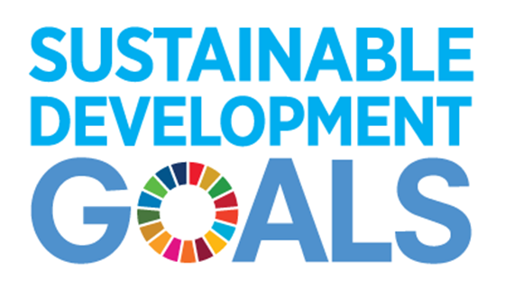 SDGs Utilization