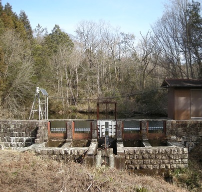 The Ecohydrology Research Institute: Elucidating the Interactions between Forests, Water, and Human Beings