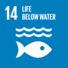 SDG14 Conserve and sustainably use the oceans, seas and marine resources for sustainable development