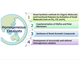 Development of Novel Reactions and Materials Using Homogeneous Catalysts, Kyoko Nozaki, Professor, Graduate School of Engineering