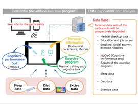 Development of Dementia Prevention Exercise Program, Taisuke Tomita, Professor, Graduate School of Pharmaceutical Sciences