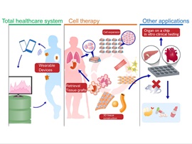 Interdisciplinary Research between Bio and Engineering to Sustain Healthy Life, Shoji Takeuchi, Director/Professor, Institute of Industrial Science