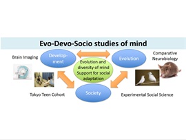 Evo-Devo-Socio Approach to the Mind, Kazuo Okanoya, Professor, Graduate School of Arts and Sciences