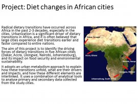 Linking Urban Dietary Transitions to Food Security and Environmental Sustainability: Evidence from Five African Cities, Gasparatos Alexandros, Associate Professor, Integrated Research System for Sustainability Science (IR3S)