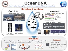 Ocean DNA: Constructing “Bio-map” of Marine Organisms using DNA Sequence Analyses, Susumu Yoshizawa, Professor, Atmosphere and Ocean Research Institute