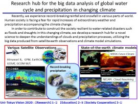 Research Hub for the Big Data Analysis of Global Water Cycle and Precipitation in Changing Climate, Yukari N. Takayabu, Professor, Atmosphere and Ocean Research Institute