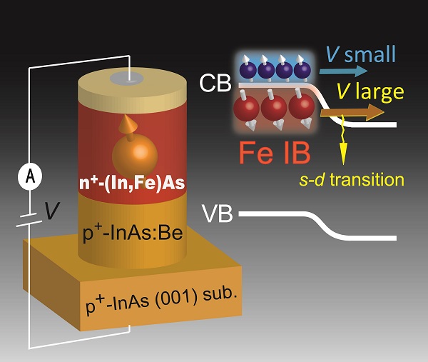 ©  2018 田中-大矢研究室III-V族半導体InAsに磁性不純物鉄(Fe)を添加したn型強磁性半導体(In,Fe)Asとp型InAsからなるスピン江崎ダイオード（図の左）において、バイアス電圧によって電流に寄与する電子を伝導帯から不純物帯に切り替え（図の右）、電流の磁場応答の強度と符号を大きく変化させた。
