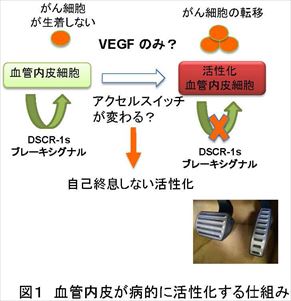 図1