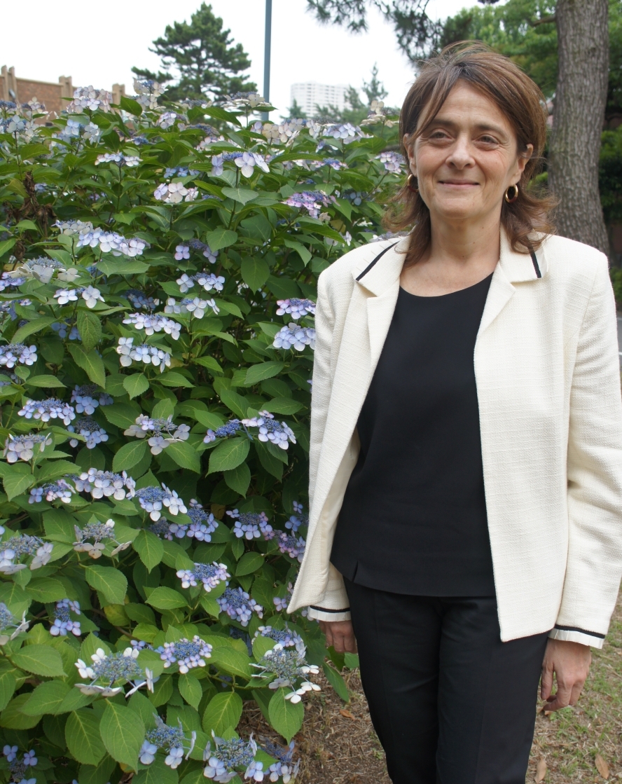 Researcher standing next to hydrangeas