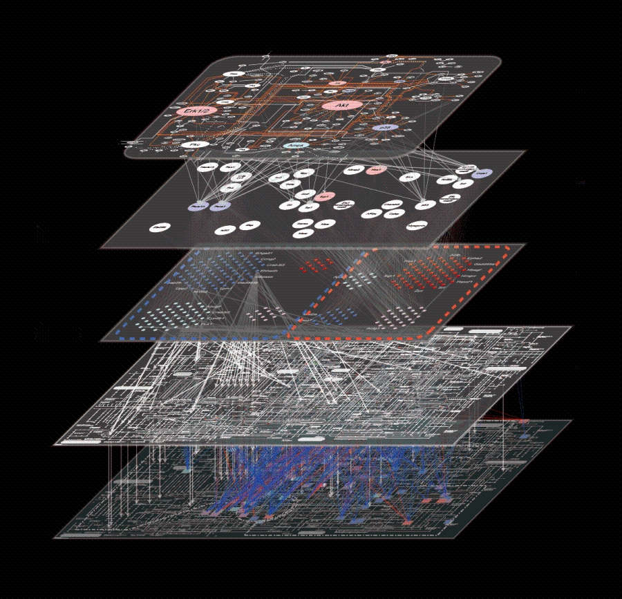 Computer generated image showing connections between insulin and other molecules within the cell.