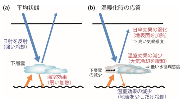 20180918 学術ニュース トピックス 東京大学大気海洋研究所