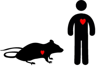 Black silhouette image of a person and mouse.