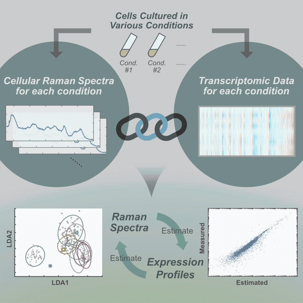 An illustration of the approach and the results in this study