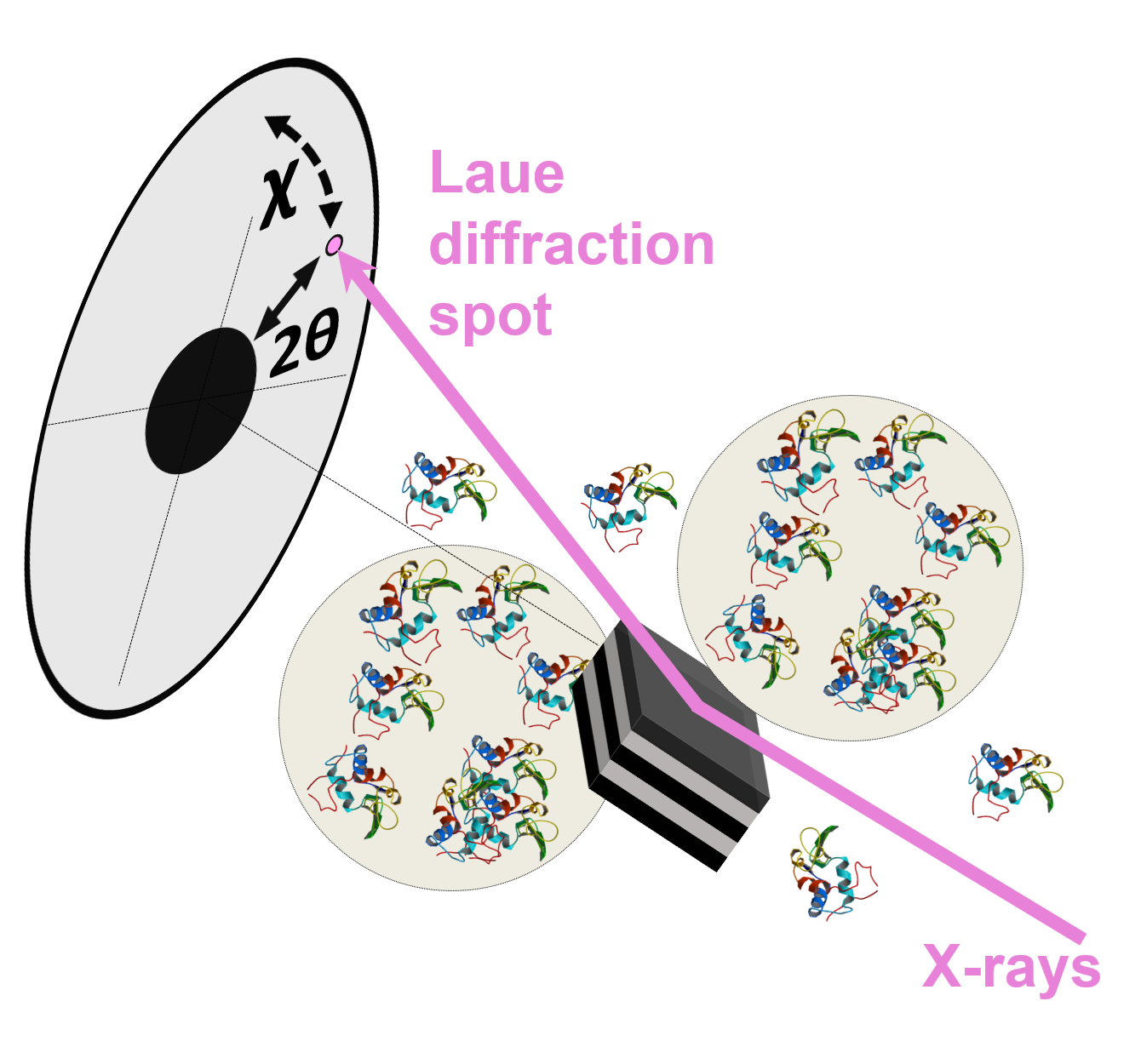 An illustration of single-protein molecule imaging by DXT under supersaturated solutions