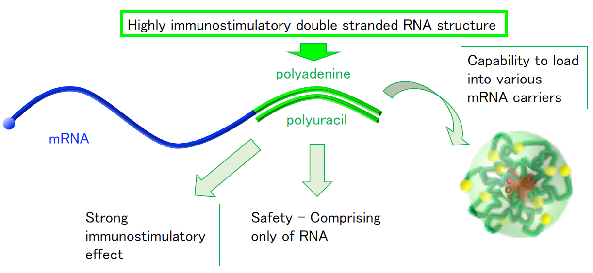 Design of mRNA incorporating immunostimulatory adjuvant functionality