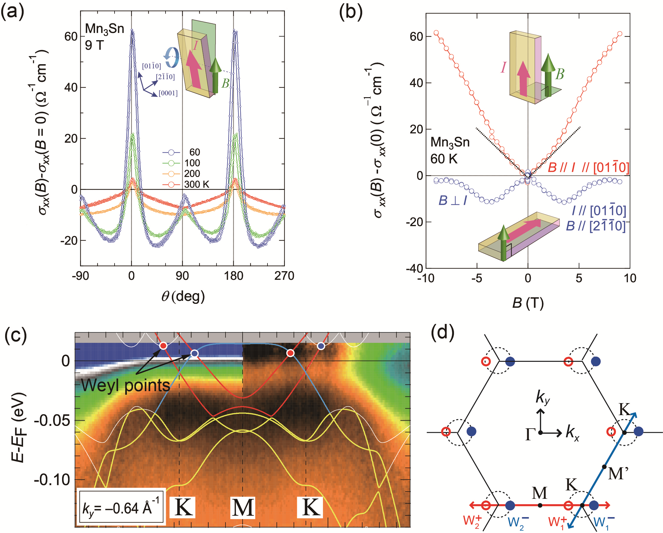 Evidence for Weyl fermions in Mn<sub>3</sub>Sn Evidence for Weyl fermions in Mn<sub>3</sub>Sn
