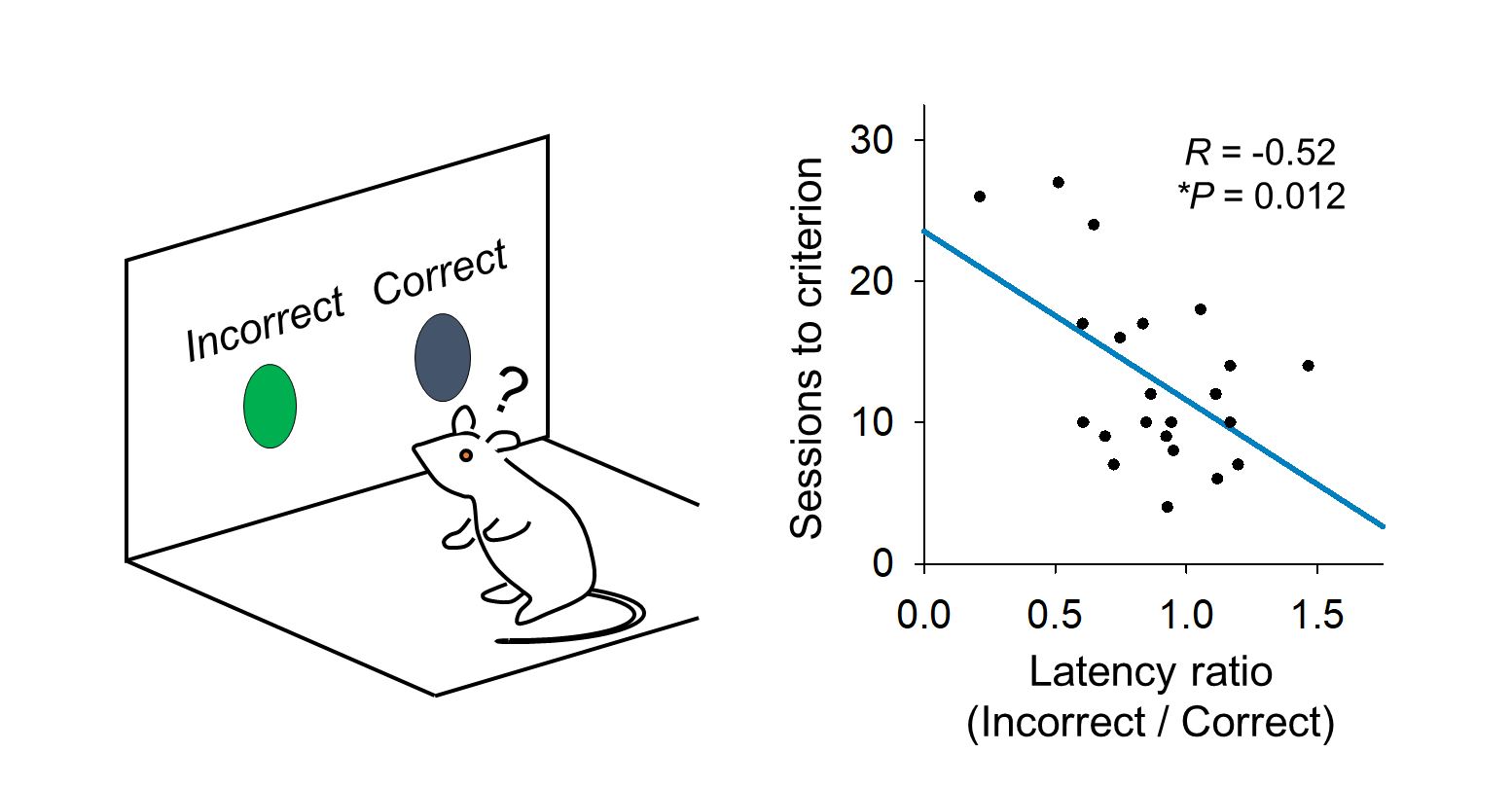 Rat illustration and graph Illustration of rat during experiment, graph with plots