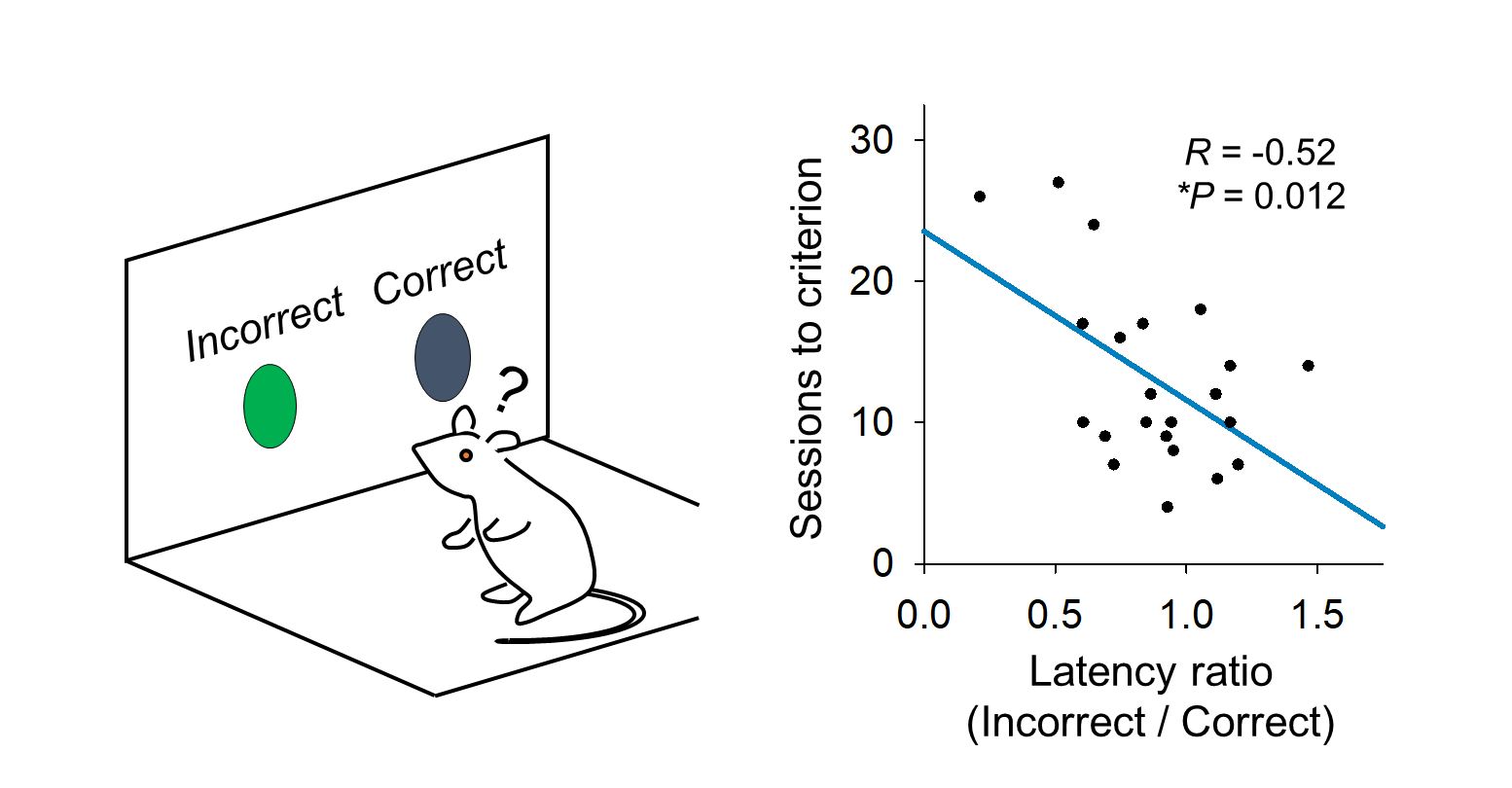 Illustration of rat during experiment, graph with plots