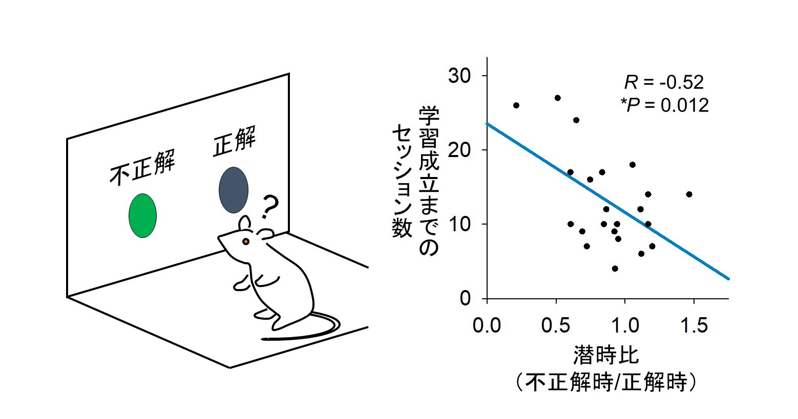 ラットの図、プロットのグラフ