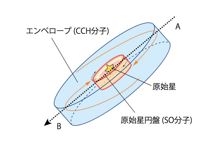 生まれたばかりの原始星に惑星系のもとになる円盤構造を発見 東京大学 大学院理学系研究科 理学部