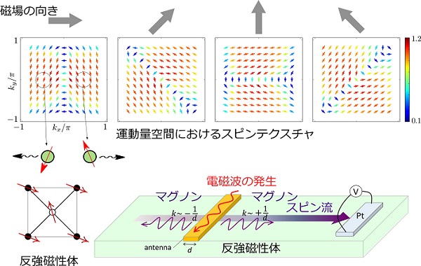 反強磁性マグノンのスピン運動量ロッキングと純スピン流デバイスの提案