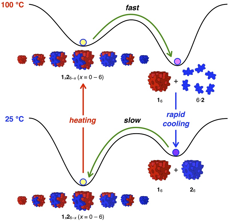 Research schematic showing red and blue snowflake-shaped bluilding blocks of the nanocubes coming together at different temperatures.