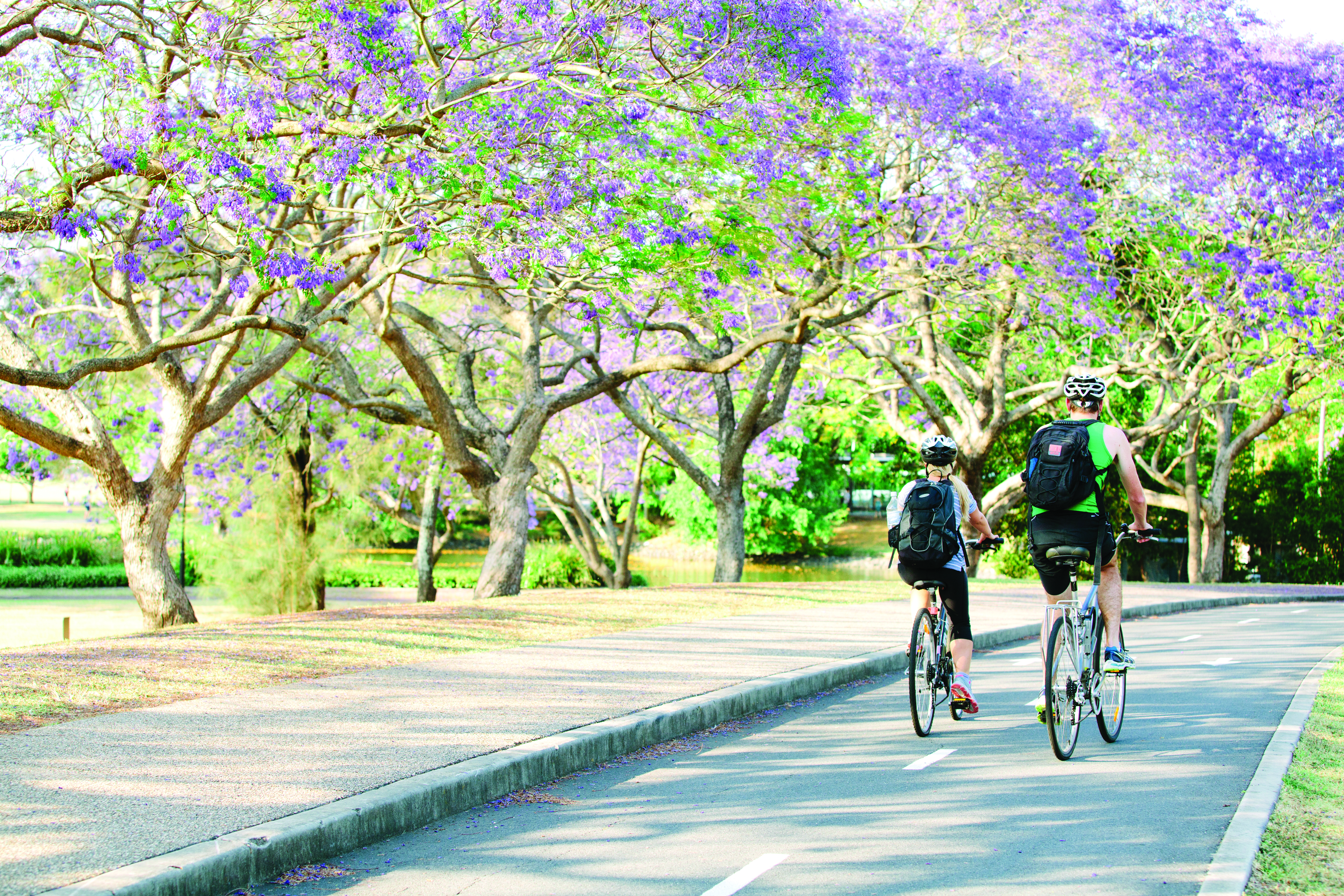 Cycle path on St Lucia campus