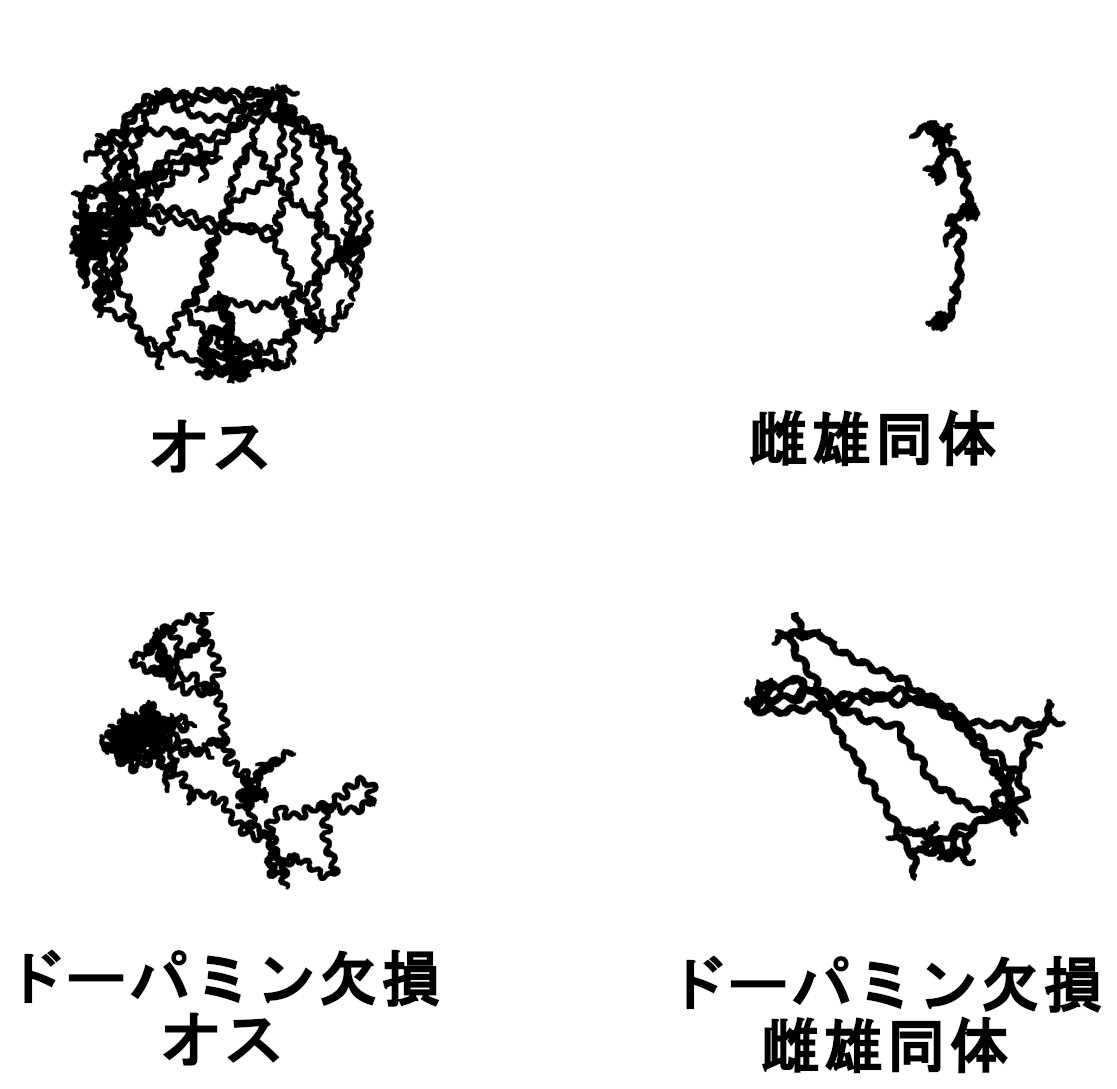 線虫の運動量の測定