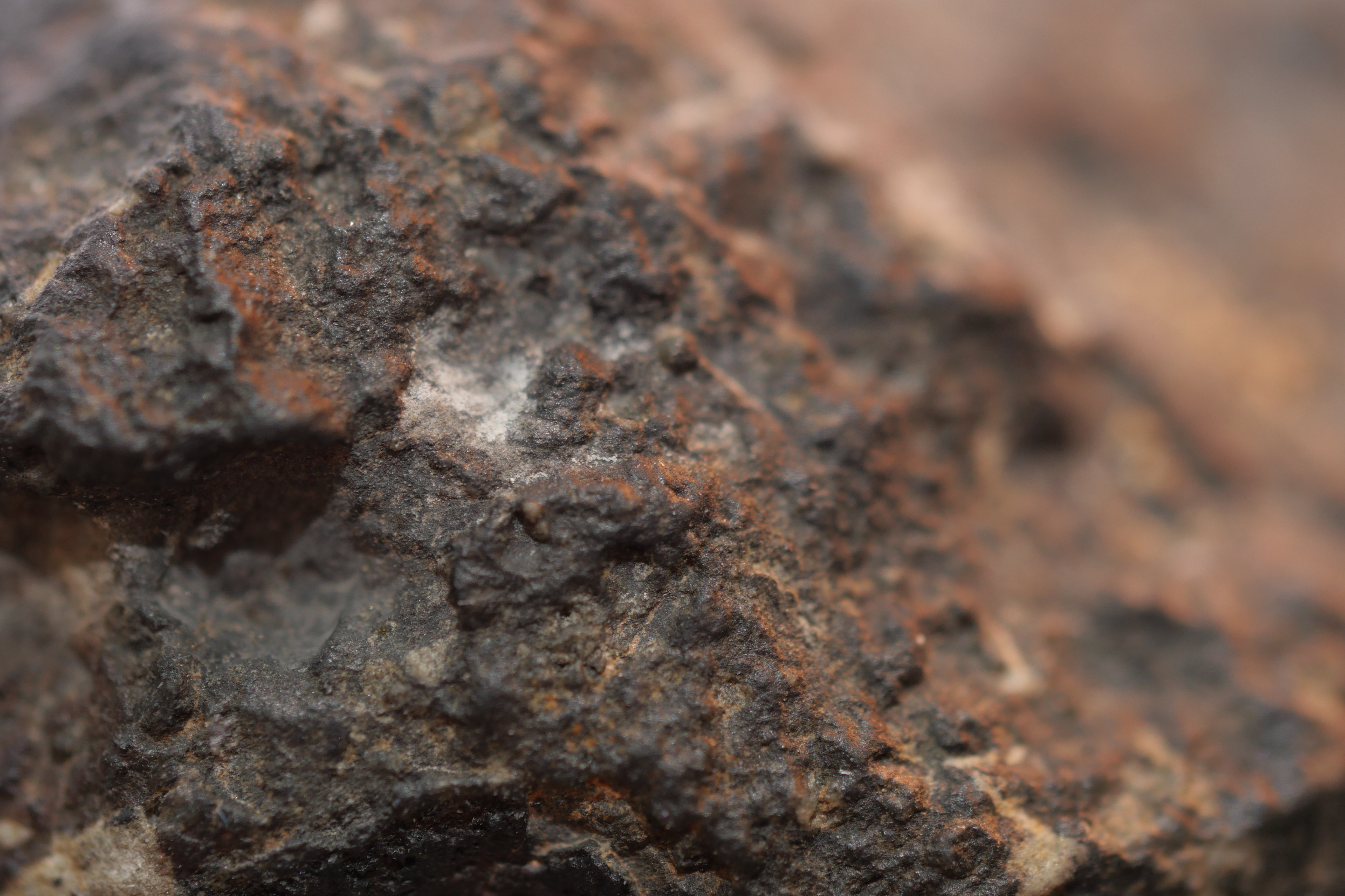 A grey brown rough textured surface with white speckles concentrated to the left