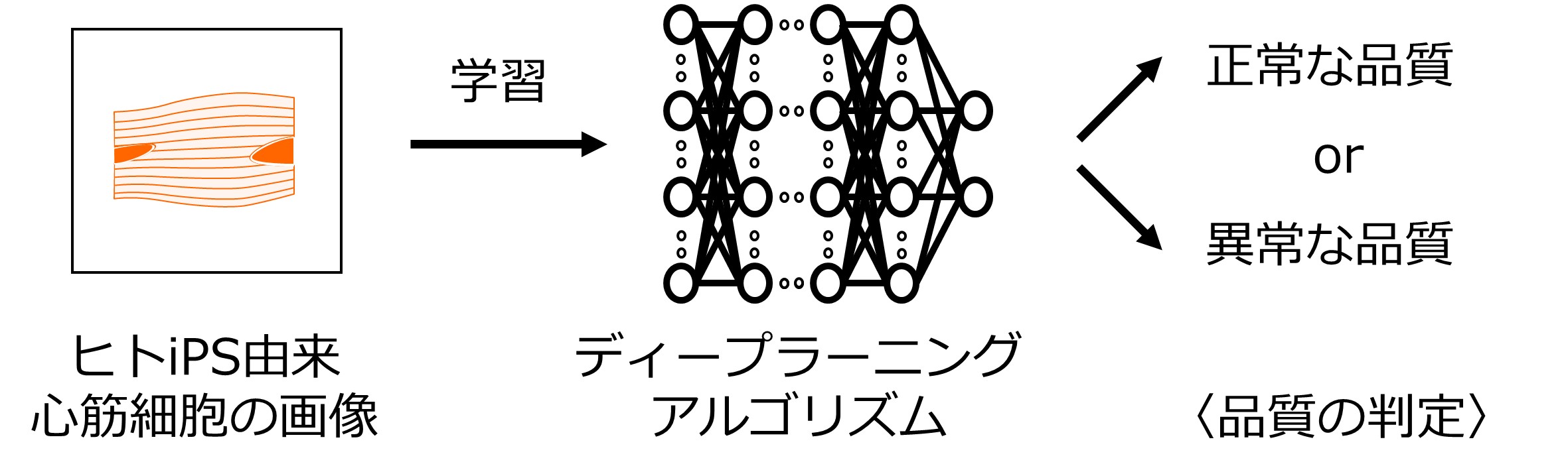 フルオレニリデン-アクリダンの色の変化と配座変化