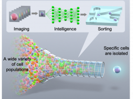 Intelligent image-activated cell sorting and beyond, Keisuke Goda, Professor, Graduate School of Science