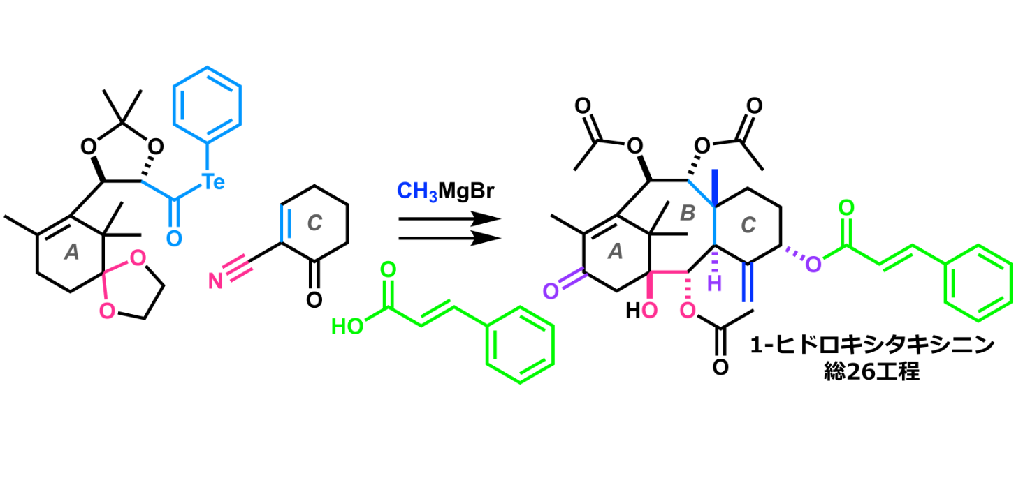 1-ヒドロキシタキシニンの全合成
