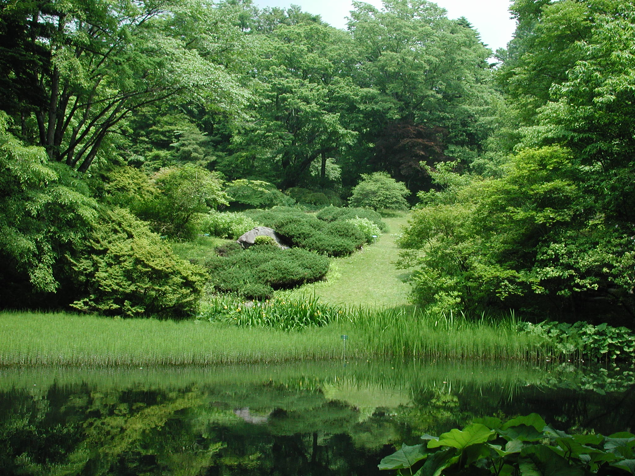 おもろ植物園