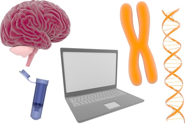 Cartoon symbols representative of the research project: a human chromosome, DNA double helix, laptop computer, human brain, and small Eppendorf tube.