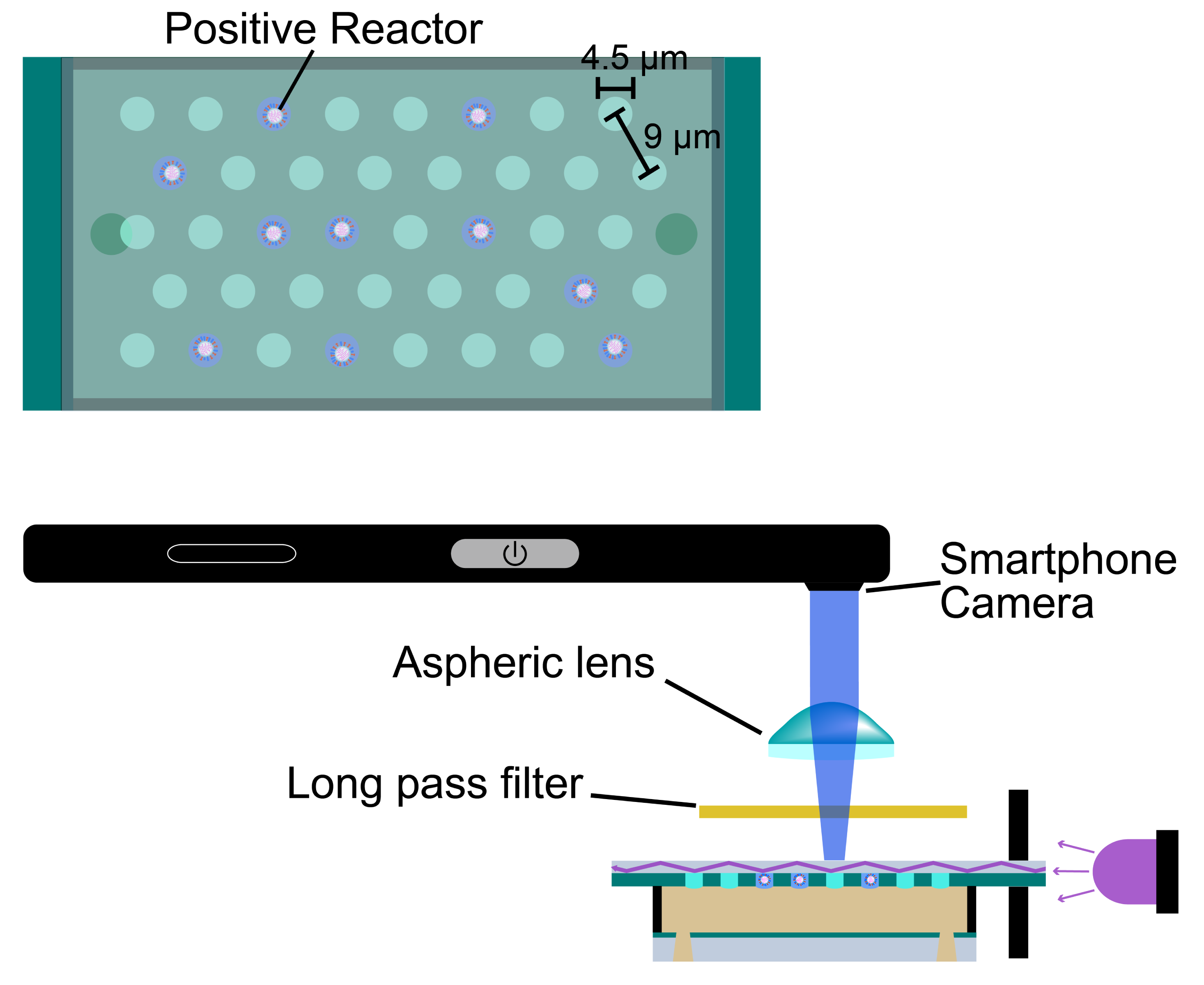 Diagram showing the inside of the device