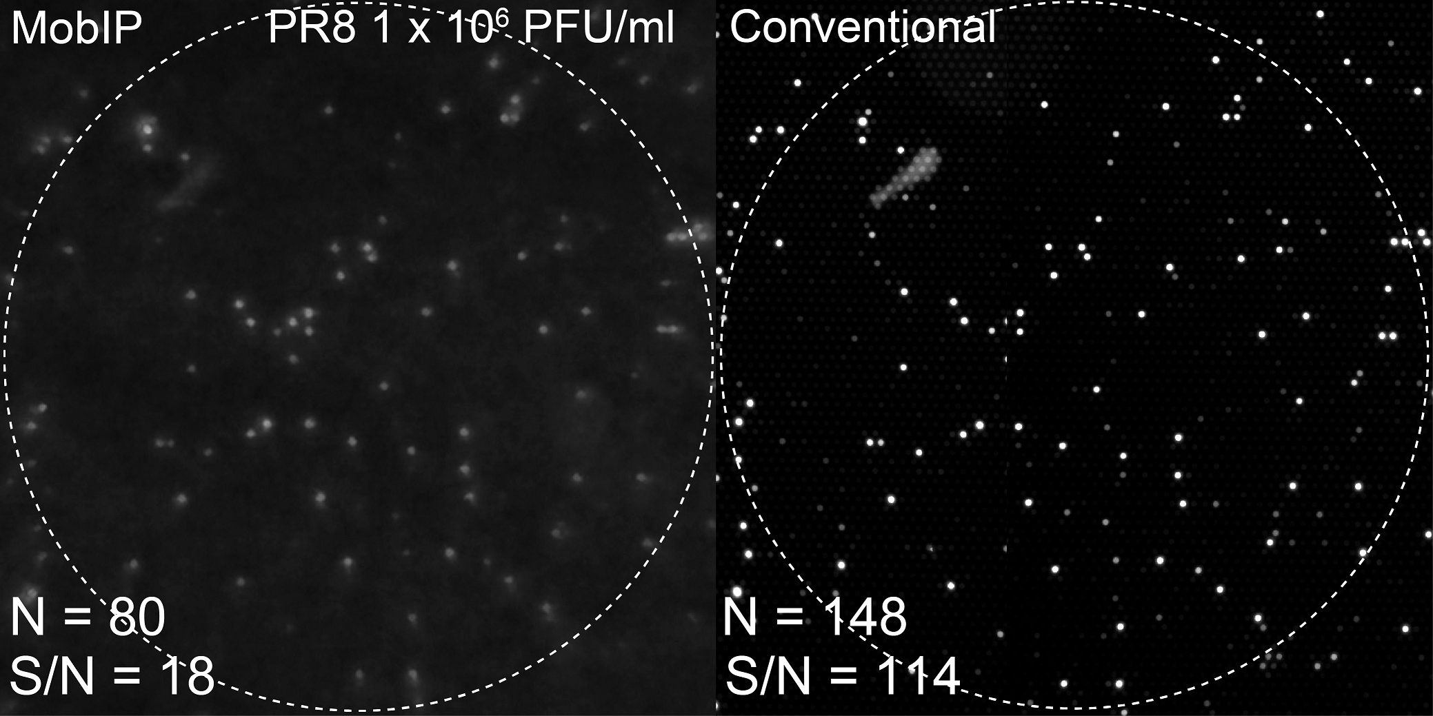 Dark background with two white circles, on the left a blurry array of dots, on the right a sharper array of the same dots.