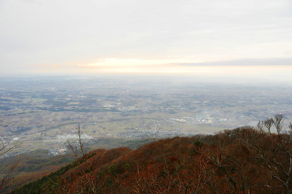 View from a hill top. A dark red mass of foliage (lower), a cloudy sky (upper), a hazy urban environment (middle).