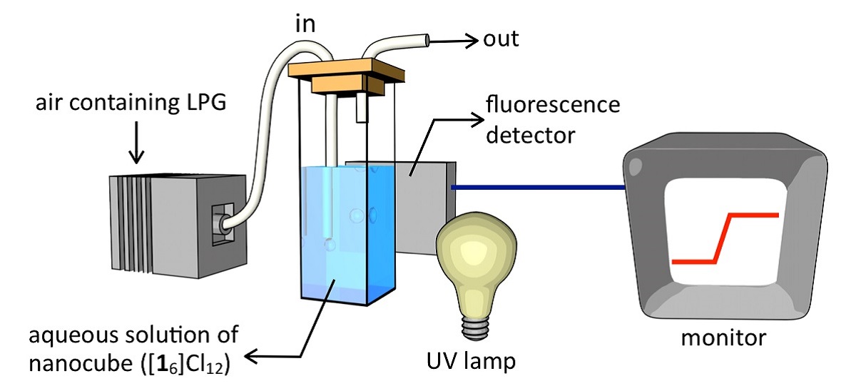 A cartoon schematic of the gas detector.