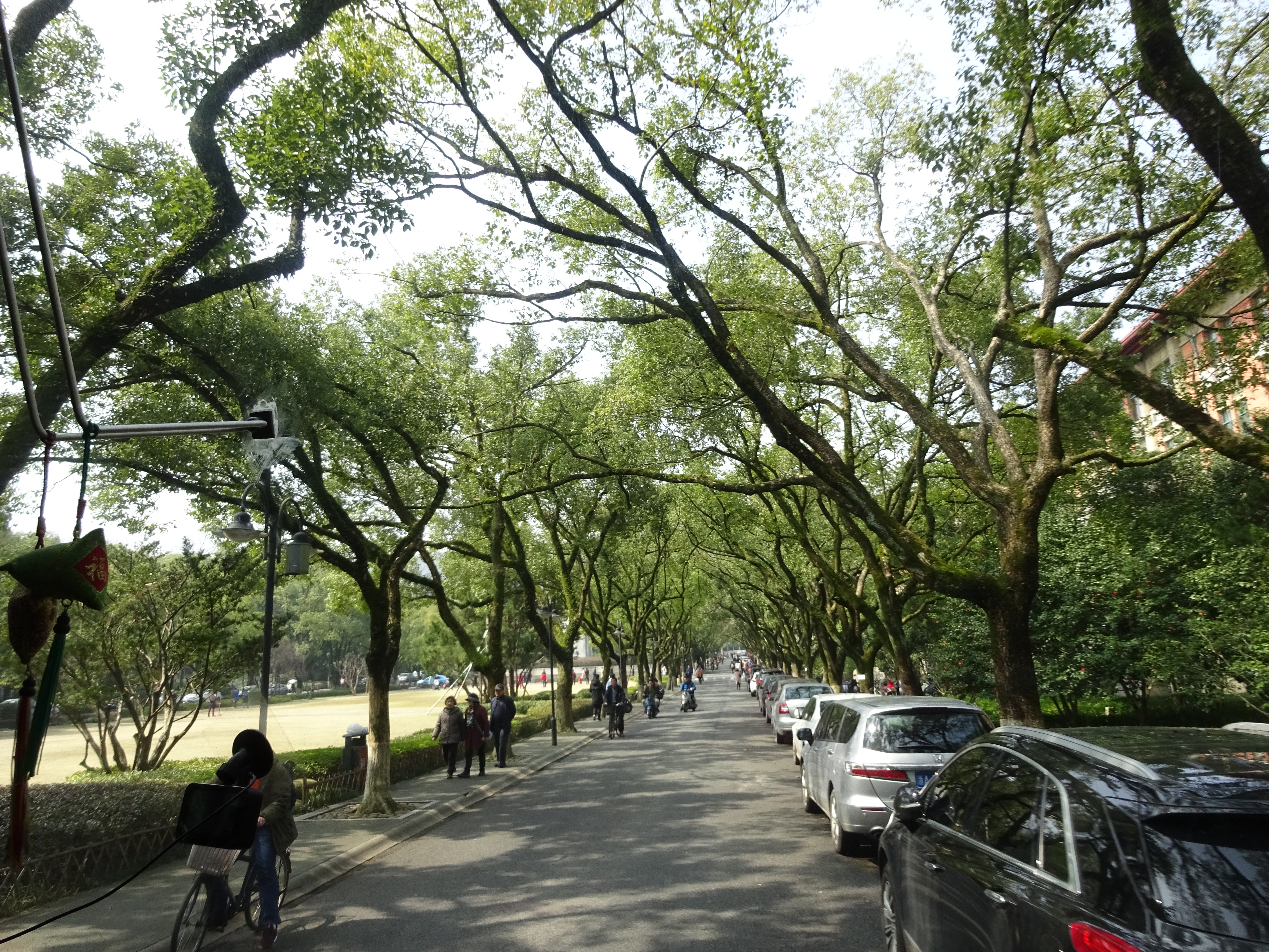 campus street