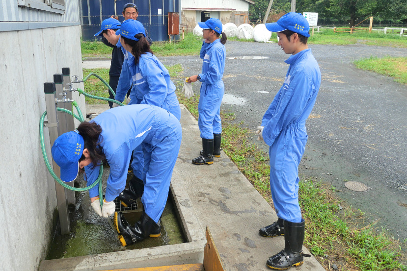 Four people wearing blue outside