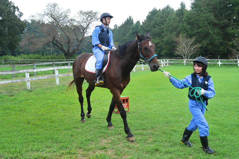 Two people with a horse