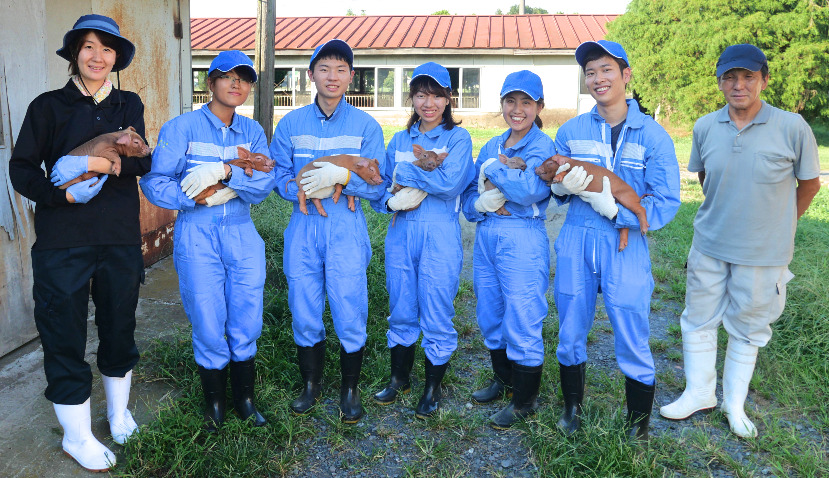 A group of people standing while holding piglets