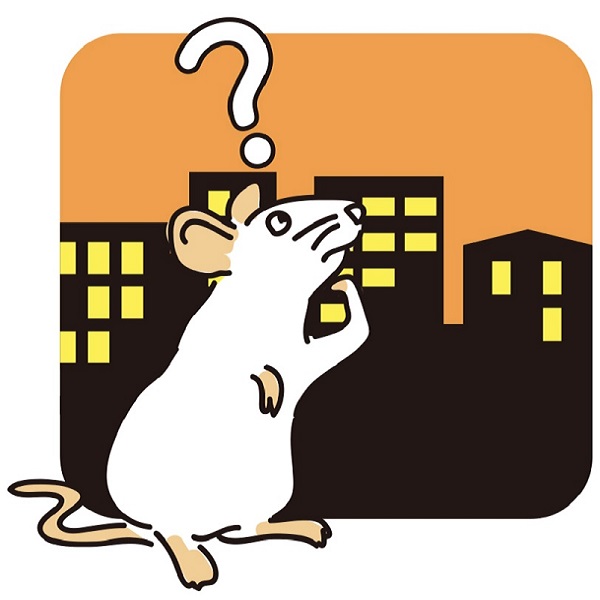 A cartoon of a white mouse standing in front of black buildings with an orange background.