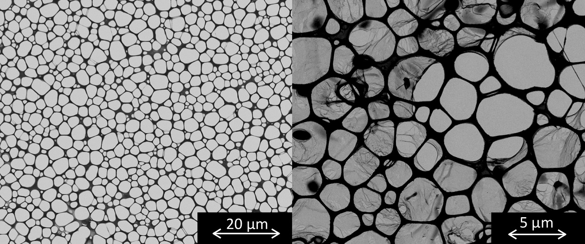 Two black and white transmission electron microscopy images. The left shows empty wells and the right shows thin films stretching over some of the wells.