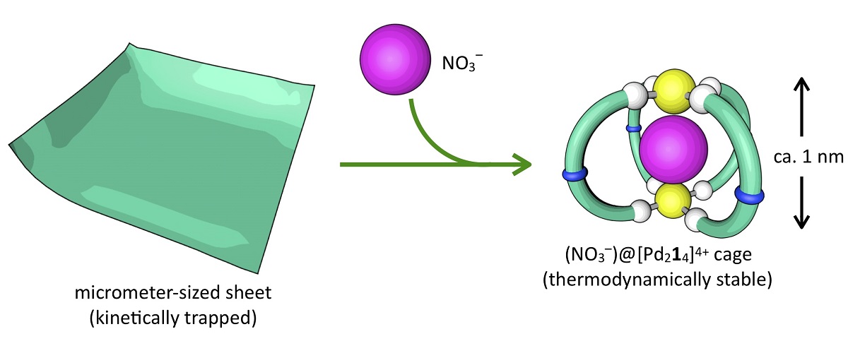 .A green sheet on the left, arrows and a red ball in the center, and on the right a spherical cage made from green rings encapsulating a red ball.